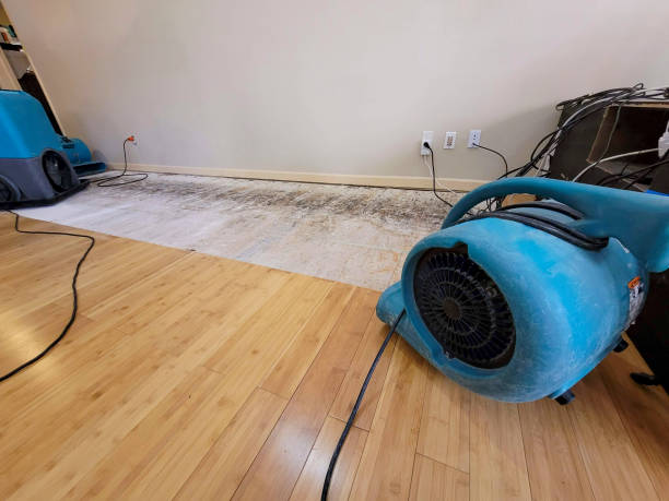 Professional Emergency Water Damage technician working in Jefferson, NC